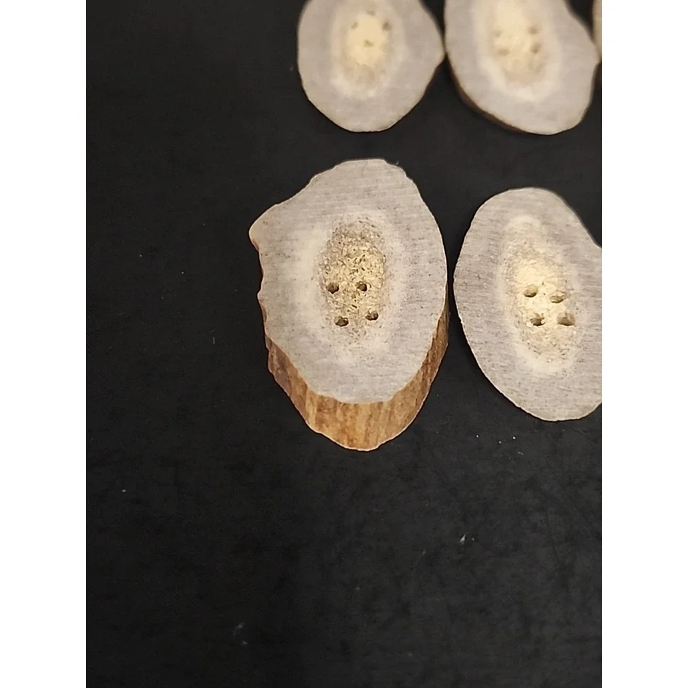 6 Piece Set Of Raw‎ Antler Buttons 1.25